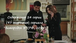 Содержание 24 серии (97 турецкая) третьего сезона сериала Зимородок (РФ, 2024 / 2025)