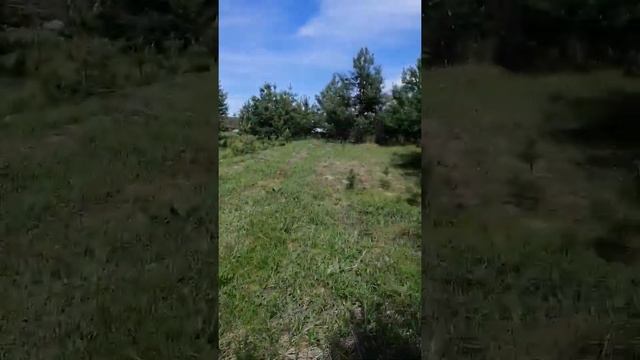 Уборка леса смотреть онлайн