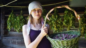 ЛЕТО – ПРИПАСИХА, ЗИМА – ПОБЕРИХА! Сходили ко ПЧЕЛАМ