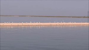 Штиль на море.