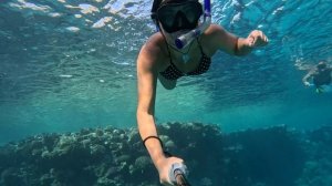 Обзор бухты Шаркс бей ( Shark's Bay) 7серия. Рыбы, рифы, реальное
