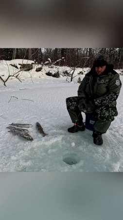 Мощная Рыбалка на Ленка-Горная Рыбалка