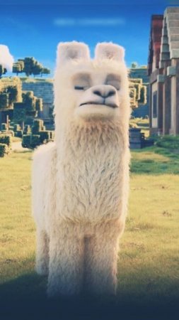 Lama #memes #minecraft