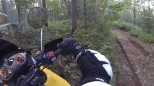 BMW F650GS 2003 Forest road