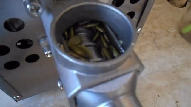 Масло тыквенных семечек