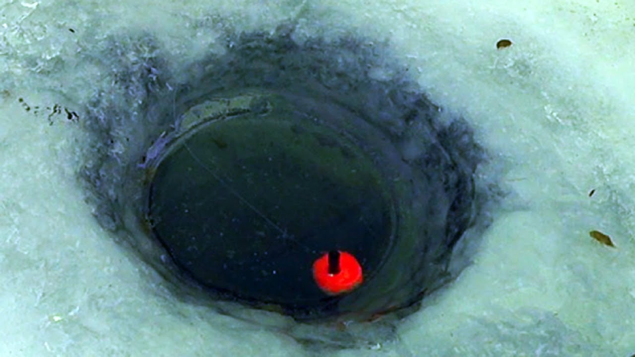 Ловля окуня зимой на живца. смотреть онлайн