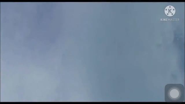 Никогда не сдавайся-Калач (Григорович) Мария смотреть онлайн