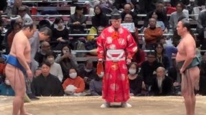 OB戦 千代の国×石浦【大相撲トーナメント】2024/2/11 [Grand Sumo Tournament]