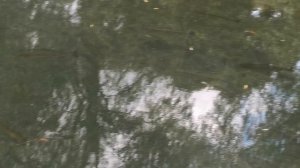 VID_20220720_145511