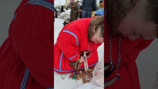 Свежая строганина от Ейко Сэротэтто День Оленевода - 2025 город Надым Ямало Ненецкий автономный АО