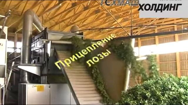 капустоуборочный комбайн