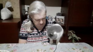 10-03-2025 покушаем /мукбанг/food