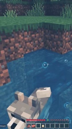 водные процедуры #minecraft