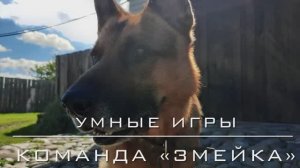 Команда «Змейка».