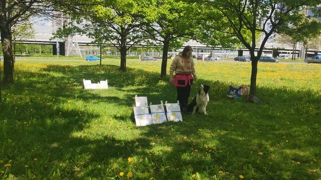 Валя и Сан РО1 смотреть онлайн