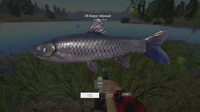 Russian Fishing 4