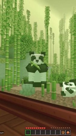 panda #minecraft