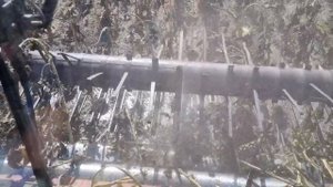 Уборка подсолнечника Полесье 12