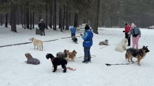 VID-20250309-WA0061