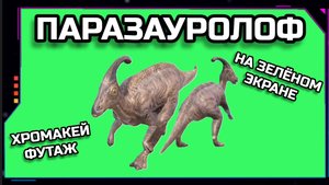 ДИНОЗАВР ПАРАЗАУРОЛОФ видео GREEN SCREEN футаж. ХРОМАКЕЙ АНИМАЦИЯ на зелёном экране.
