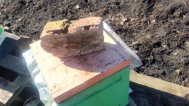 8 марта 2025 г. Облёт 2 день. смотреть онлайн