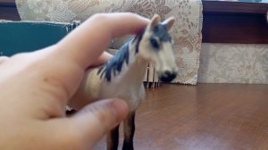 обзор на всех моих лошадей