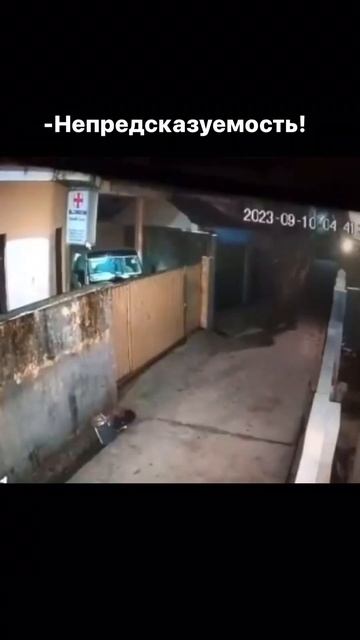 Почему тебе нравится Азия? Там непредсказуемо! смотреть онлайн