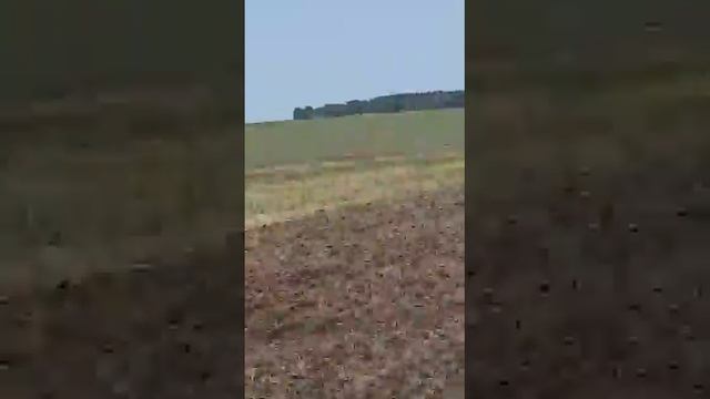 Комплекс посевной пневматический!!!