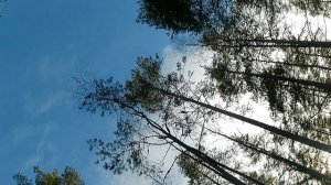 09.03.25 весеннее солнце 28 км !