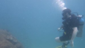 Giant Coral Bommy - Scuba Diving Pattaya