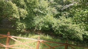 VID_20220720_150436