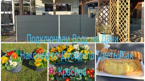 Любимая Дача/Работы на Дачи 🏕/Закрылись от Соседей/Посадите эти Цветы 💐