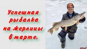 Успешная рыбалка на жерлицы в марте.