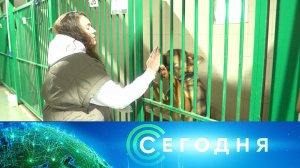 «Сегодня»: 9 марта 2025 года. 10:00 | Выпуск новостей | Новости НТВ