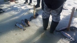 Хорошая погода и рыбалка