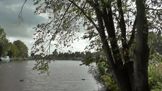 Родные Сердцу Просторы. Успокаивающая музыка. Новая Музыка 2021
