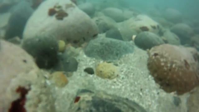 Freediving playa norte смотреть онлайн