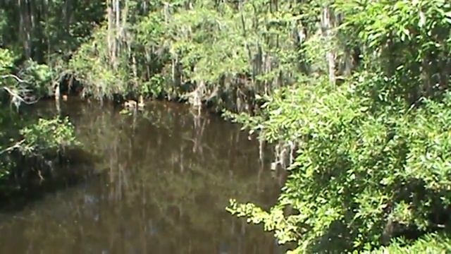 Black Creek, Hartsville, S C at 14th Street Bridge смотреть онлайн