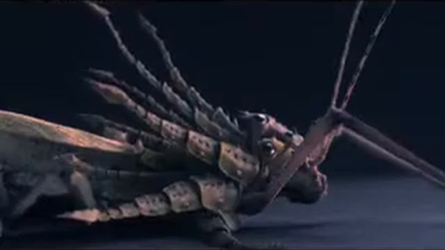 Жуки) смотреть онлайн