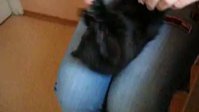 Котик ест масло