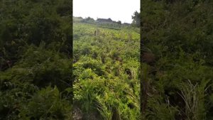 Андрей Новиков(мое мнение)