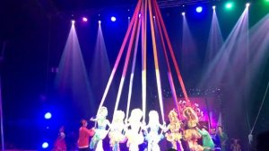 Feel The Magic of The Moscow Circus