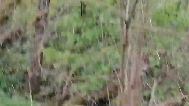 Усадьба Парк Кинематографа Ляхово.Озера Ляховского края. Река Востец.Эпизод 1.