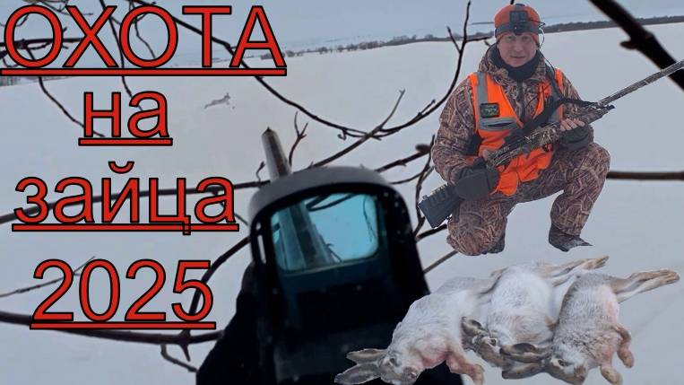 Охота на зайца загоном. Крайняя охота 2025. Закрытие.