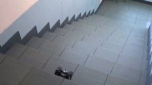 Робототехника. Вездеход.