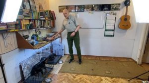 Тренинг ягдтерьера Шнапса и таксы Гавра  Ищи - Голос - Ешь