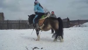 Мои уроки верховой езды на пони