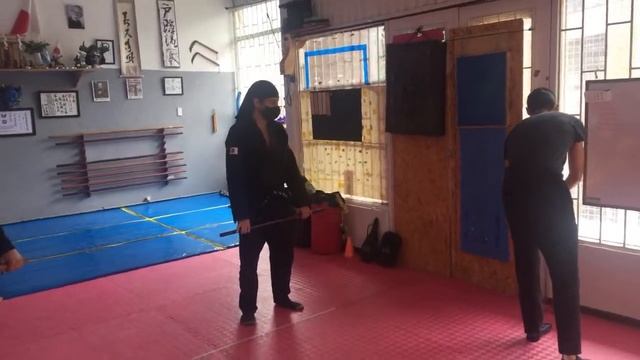 HANBO JUTSU | CLASE EN VIVO | BUJINKAN | NINJUTSU. смотреть онлайн