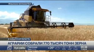 Уборка зерновых началась в Северо-Казахстанской области