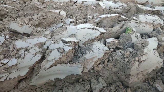 Херсонская область смотреть онлайн